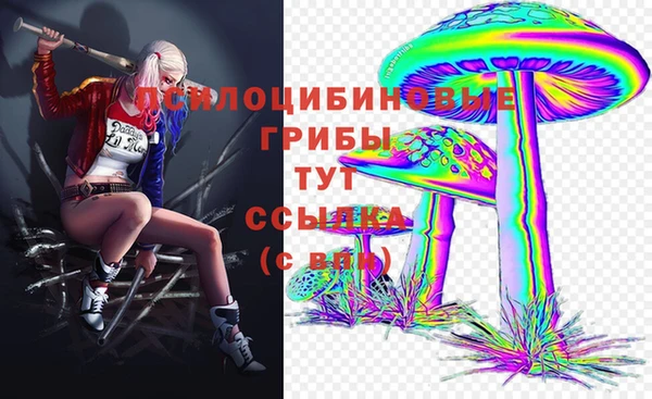 эйфоретик Армянск