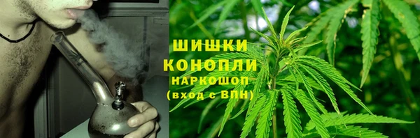 MESCALINE Аркадак